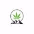 Logo for the brand Colorado 420 Website Design